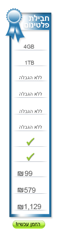 אחסון אתרי וורדפרס